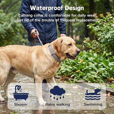 Calming Collar for Dogs - 4 Packs Pheromone Calming Collar, Lasts 60 Days to Relieve Anxiety, Stress & Separation, Reduce Unwanted Behavior, Adjustable for Small Medium Large Dog | Natural Calming Formula, Effective Anxiety Relief, Long-Lasting Waterpr...