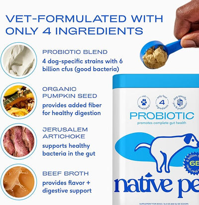 Native Pet Probiotics for Dogs – Dog Probiotic Powder for Gut & Digestive Health, Vet-Formulated 6B CFUs Dog-Specific Probiotic Strains, Supports Stool Quality & Diet Transitions – 30 Scoops