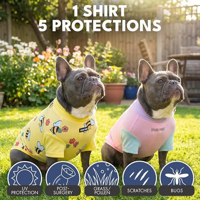 Spark Paws Sunblock Dog T-Shirt, SPF30 Protection, Lightweight Breathable Quick Dry for Dogs with Sensitive Skin - Bees & Gelato (Set of 2) - Size M