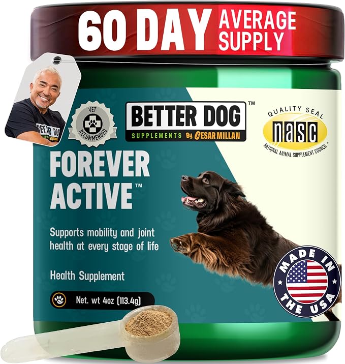 Better Dog Supplements by Cesar Millan® Forever Active – Natural Dog Hip & Joint Care for Mobility, Flexibility & Comfort – Herbal Blend Dog Joint Supplement Powder – 4oz (60-Day Supply)