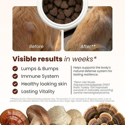 Pawpulse Formula Turkey Tail Mushroom for Dogs with Lion's Mane & Reishi – Senior Dog Supplement for Lipoma, Lumps & Bumps – Immune Support & Gut Health – 80 Count