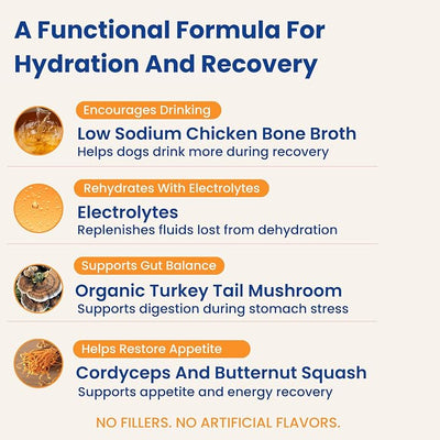 Dog Hydration Support – Helps During Stomach Upset, Vomiting & Diarrhea – Restores Appetite & Boost Energy with Electrolytes and Turkey Tail Mushroom, 12 Sticks