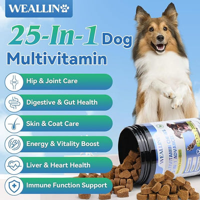 Dog Vitamins - 25-in-1 Dog Vitamins and Supplements Multivitamin with Glucosamine Probiotics Omega-3 Puppy Multivitamin Chewable for Coat, Heart, Hips & Joints, Digestion & Immune System 200pcs