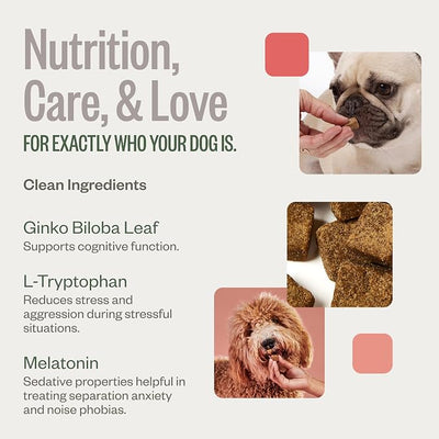 Ollie Chill Pills Calming Supplement Chews for Dogs, Anxiety Relief for Dogs, Melatonin for Stress Relief, 60 Count Appx.