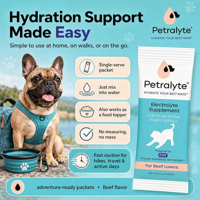 Petralyte Dog Electrolytes and Joint Supplement | Hydration Support for Dogs w/Glucosamine, Chondroitin & More | Electrolytes for Dogs with Prebiotics | for Beef Lovers | 32 Packets