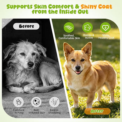 Dog Allergy Relief Chews, Itch Skin Relief for Dogs, Seasonal Allergy Support, Skin Irritation Treatment and Boosts Immunity - Allergy Supplements for Dogs, Salmon Flavor, 100 Soft Chews