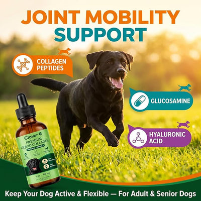 Clover Collagen for Dogs, Triple Hydrolyzed Liquid Collagen Peptides with Glucosamine and Hyaluronic Acid, Joint Mobility Support, Skin and Coat Supplement Drops (3PCS)