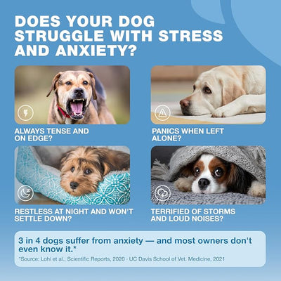 Hemp Calming Chews for Dogs - Dog Calming Treats - Anxiety Relief for Dogs with L-Theanine, Chamomile Extract, Valerian Root - Dog Anxiety Relief for Travel, Vet Visits, Thunderstorms, Nail Trimming
