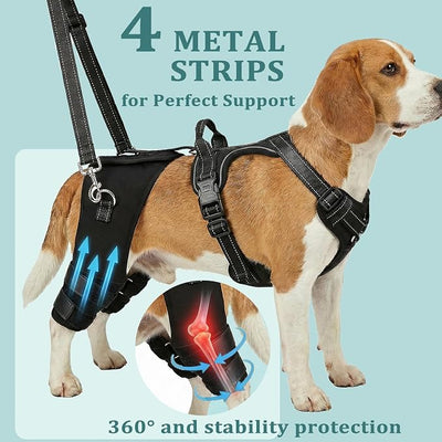 Dog Knee Braces for Torn ACL Hind Leg, Adjustable Dog Leg Braces for Back Leg with 4 Stabilizers for Luxating Patella Relieves Ligament Injury and Joint Pains