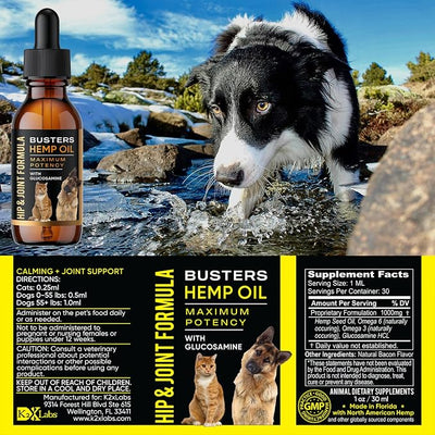 Busters Hemp Oil for Dogs with Glucosamine 2-Pack Dual-Action Joint Support + Calming,100mg Glucosamine + Organic Hemp Oil with Omega 3 6 9 — Bacon Flavor, Third-Party Lab Tested — Made in USA