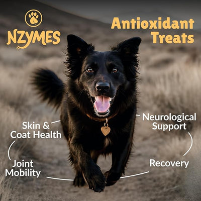 Nzymes® Antioxidant Treats - for Dogs Joints, HIPS, Paralysis, Skin, Coat, Hair Loss, Aging, Digestion, Neurological, Seizures - 120 Treats - Made in The USA