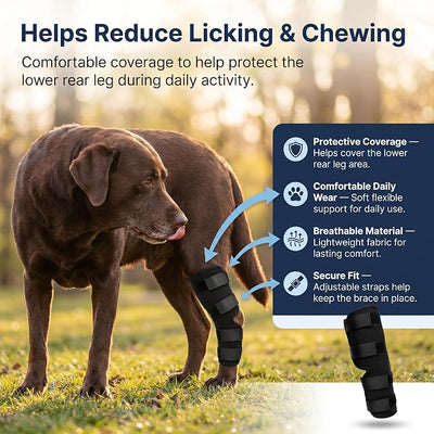 Dog Knee Brace for Hind Leg, Dog Hock Brace for Back Leg Support, Adjustable ACL CCL Brace for Dogs, Rear Leg Support for Joint Stability, Recovery & Mobility, Small Medium Large Dogs (Black, M)