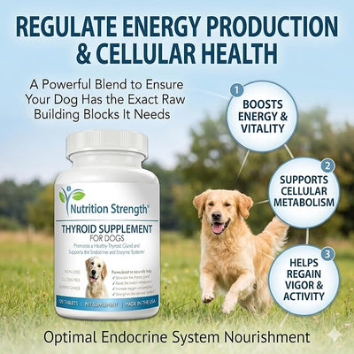 Thyroid Supplement for Dogs, Support for Hypothyroidism in Dogs with Organic Bladderwrack, Promotes Normal Function of Endocrine and Enzyme Systems, 120 Chewable Tablets