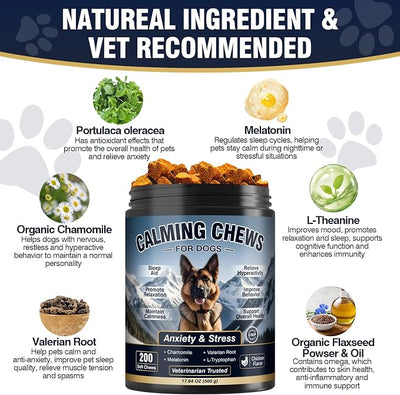 Chicken Calming Melatonin Chews for Dogs 200ct