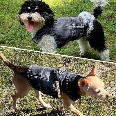 Dog Jean Jacket, Blue Denim Shirt Classic Lapel Vest Coat Costume Puppy T-Shirt, Comfort Tank Top Cool Apparel, Washed Pet Clothes for Dogs Boy Girl (Black with D-Ring, X-Large)