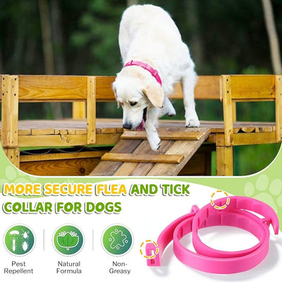 Flea and Tick Collar for Dogs, Dog Collars with Natural Essential Oils, Waterproof, Adjustable Size for Small Medium and Large Dog, Flea Prevention and Tick Control for Puppies(2 Pack,Pink)