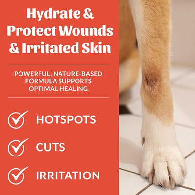 SKOUT'S HONOR Probiotic Hot Spot Hydrogel - Natural Hot Spot Treatment, Soothes and Heals Wounds, Burns, and Irritated Skin, Safe for All Skin Types, 4oz, 3-Pack