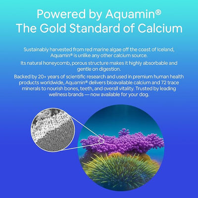 Seaweed Calcium Powder for Dogs and Cats - Vet Recommended Calcium Supplement for Dogs with 72 Trace Minerals, Wild Icelandic Marine Algae for Strong Bones, Teeth, Joints and Muscles, 14oz