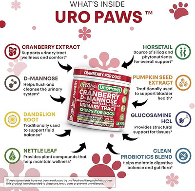 Dog UTI Treatment | Cranberry for Dogs | Urinary Tract Bladder Control | D-Mannose Dandelion Glucosamine HCL Marshmallow Nettle Leaf Saw Palmetto Uva Ursi Horsetail Beef Flavor by Clean Nutra Pets