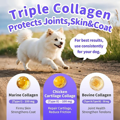 Collagen for Dogs - 12-in-1 Liquid Collagen for Skin & Coat Support, Hip & Joint with Types I, II & III Drops, Hyaluronic Acid, Green-Lipped Mussel - Chicken Flavor, 4 FL Oz（ Pack of 1）