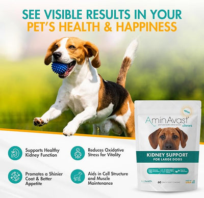 AminAvast Dog Kidney Supplement - Supports Natural Kidney Function - Promotes Health & Vitality of Aging Kidneys - Pet-Friendly, 1000mg (60 Chews)