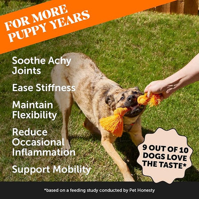 11-in-1 Advanced Hip + Joint Supplement for Dogs - Mobility Support with Glucosamine Chondroitin, Turmeric, & Green Lipped Mussel, MSM - Soothes Joint Stiffness & May Reduce Discomfort (Duck, 90 Ct)