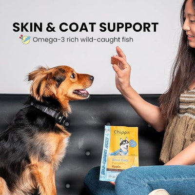 Fish Dog Treats for Skin & Coat, Healthy Soft Chews with Real Pumpkin, Grain Free, Easy to Digest for Training or Rewards for Small, Large Dogs, Natural Ingredients for Sensitive Stomach, Made in USA