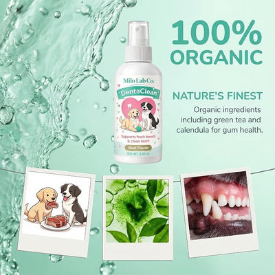 Milolabco Probiotic Dental Spray, Milo Lab Co Dentaclean Spray for Dogs, Freshens Breath, Supports Healthy Gums & Teeth, with Probiotics, Calendula Extract & Brown Algae, 100 ml/3,38 Oz