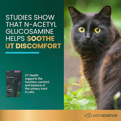 VetriScience UT Health Chews, UT Strength Cranberry and D-Mannose Bladder & Urinary Tract Supplement for Cats, with Bromelain and Probiotics, Chicken, 60 Count