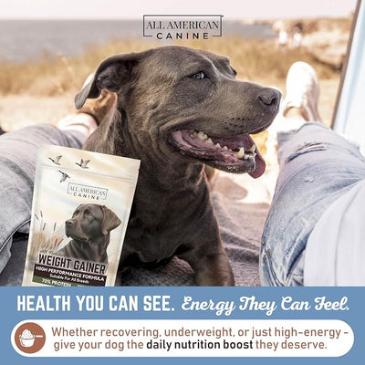 All American Canine Bulk Dog Weight Gainer – High Calorie Dog Food Supplement & Protein Powder for Rapid Weight Gain, Mass, and Recovery – Appetite Stimulant – 230 Servings
