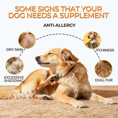 Skin and Coat Supplement for Dogs, Omega 3 Fish & Salmon Oil with EPA & DHA, Colostrum Support Skin & Coat Healthy, Itchy Dog Allergy May Reduce Shedding, Chicken Flavor, 12 Ct
