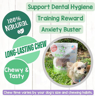Nature Gnaws USA Pig Ears for Dogs (10 Count) - Thick Long Lasting for Aggressive Chewers and Large Dogs - Premium Natural Pork Dog Chew Bones - Rawhide Free