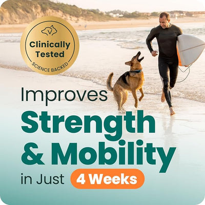VetriScience Glycoflex 3 Clinically Proven Hip and Joint Supplement for Dogs - Maximum Strength Dog Supplement with Glucosamine, MSM, Green Lipped Mussel & DMG - 120 Count