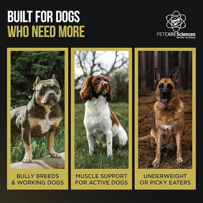 (10 Pounds) 604 Servings - 2 Pack of 5 Pounds Dog Weight Gainer - Weight Gain Supplements for Dogs - Canine and Dog Muscle Builder - Made in The USA