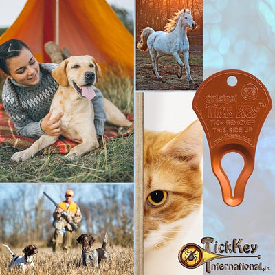 The Original Tick Key - Tick Detaching Device - Portable, Safe and Highly Effective Tick Detaching Tool (Assorted)