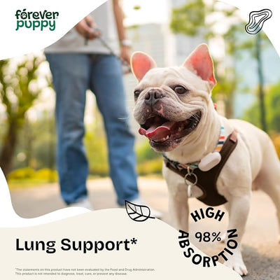 Forever Puppy Lung Support Drops for Dogs - Mullein Leaf Extract & Echinacea - Herbal Lung Drops - Sugar & Alcohol-Free Liquid Vitamins - 2 fl oz
