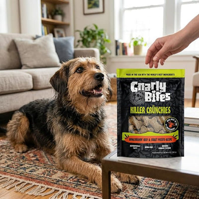 Killer Crunchies Dog Treats, Crunchy Healthy Snack for Puppies and Adult Dogs, Made with Real Beef, Sweet Potato Recipe, Grain Free, Natural Ingredients, 14 oz Bag