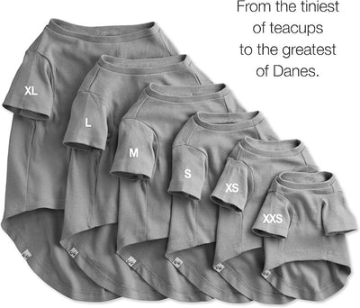 Pet Passion Toby 3-Pack 100% Organic Cotton Dog Short Sleeve T-Shirt Pet Tees for All Breeds, Gray Ombre, Large (40-60 lbs)