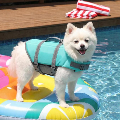 Doglay Dog Life Jacket with Rescue Handle, Dog Life Vest for Swimming Boating, Adjustable Reflective Puppy Swim Vest with Superior Buoyancy for Small Medium Large Dogs