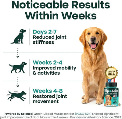 Hip & Joint Supplement for Dogs, 300mg Green-Lipped Mussel for Dog Arthritis Pain Relief, Glucosamine, MSM & Chondroitin, Zero Sugar, Large Medium Small Breeds, 50 Chewable Tablets