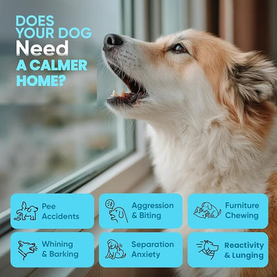STUNICK CB1 Dog Calming Diffuser, Calming Pheromones, 60 Day Supply, 1 Diffuser and 2 Refills, Helps Reduce Stress, Separation, Pee Accidents, Barking, & Destructive Behaviors