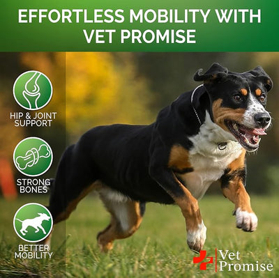 Glucosamine for Dogs - Hip and Joint Supplement for Dogs - Glucosamine Chondroitin - Joint Pain Relief Pills - MSM - Advanced Health Support Supplement - 170 Mobility Chews - Made in USA