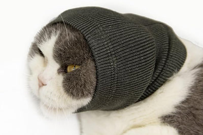 Cat Head Cover Hematoma Lightweight Snood Covers Ear Wrap for Cats Wine+Grey-S