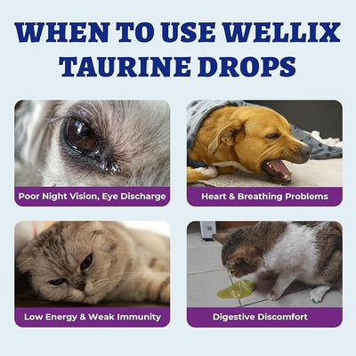 Wellix Liquid Taurine Drops for Dogs & Cats, Supports Heart & Vision 2oz | Cardiac Wellness for Senior Dogs & Cats, Taurine Supplement, with Vitamins for Immune Support, Precise Dosage Control