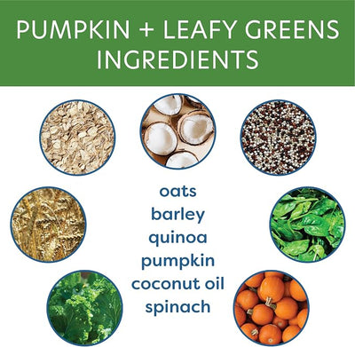 Body and Soul Pumpkin + Leafy Greens Crunchy Premium Healthy Training Dog Treat Superfood Oven Baked Biscuits Oats, Barley & Quinoa Clean Natural Plant Protein, No Additives No Filler Made in USA 10oz