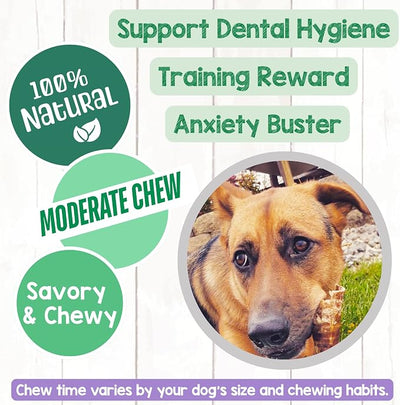Nature Gnaws Beef Trachea Balls (5 Count) - Naturally Crunchy Dog Chews | Single Ingredient, Long Lasting,Rawhide Free