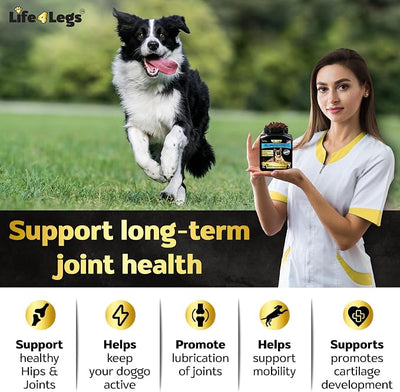 Joint Supplement for Dogs 500mg Glucosamine + 500mg MSM, Eggshell Membrane - Daily Hip and Joint Chews with Chondroitin, Green Lipped Mussel, Duck Flavor, Non-GMO, 90ct