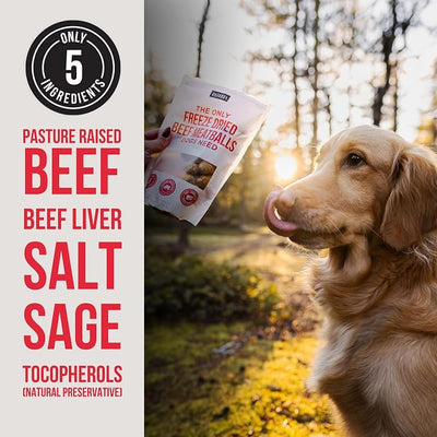 Natural Rapport Freeze Dried Beef Meatballs Dog Treats - Pasture Raised Beef & Liver, High Protein Training Treats (4 oz) (40+ Treats)