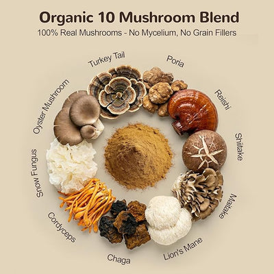 Organic Turkey Tail Mushroom for Large Dogs - Over 50% Beta Glucan - 10-in-1 Mushroom Powder for Immune & Gut Support - Dog Mushroom Supplements for Lumps and Bumps - Chicken Flavor, 200g