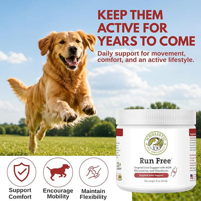 Wholistic Pet Organics Max Strength Hip and Joint Supplement for Dogs & Cats - Cat & Dog Joint Supplement Powder, Chondroitin & MSM to Support Mobility - Glucosamine for Dogs & Cats - 8 oz - 56 Scoops